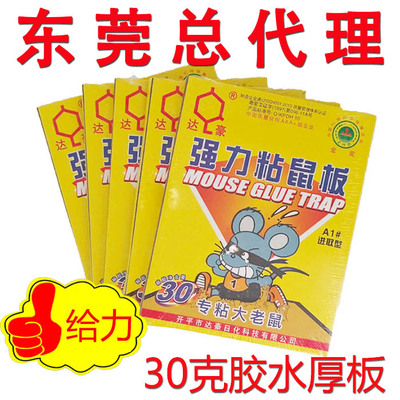 达豪A1进取型强力粘鼠板30克胶