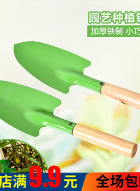 阳台种菜养花多肉植物宝宝盆栽