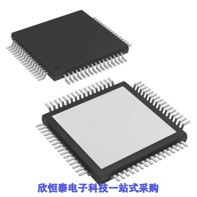 ADS1606IPAPR ADS1605IPAPT ADS1605IPAPR