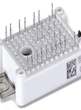 DDB6U75N16W1RBOMA1/DDB6U84N16RRBPSA1/DDB6U85N16L