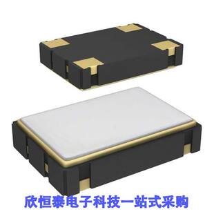 510GBA100M000BAG Silicon null