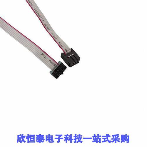 CAB-ISP6W200开发板 《 PROGRAMMING CABLE, 6-WAY ISP    》