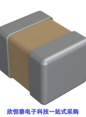 0505J3000220GQT/0505J3000220KQT/0505J3000240FQT