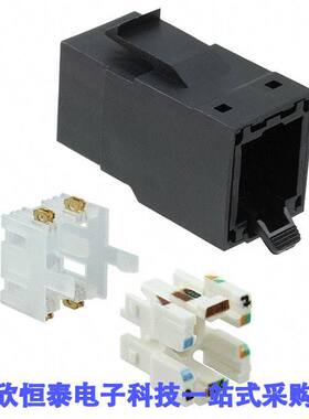 RVAMJKUBK-S1连接器 《 REVCONN 10GX JA【 BLA【    》