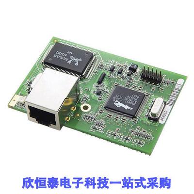 20-101-0507芯片 《 IC MOD RABBIT 3000 30MHZ 512KB    》