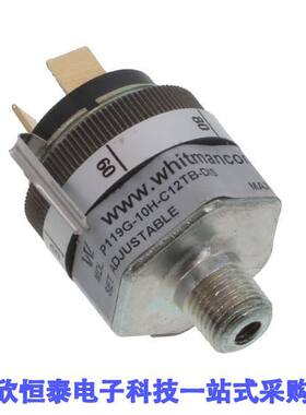 P119G-10H-C12TB-DIS null Whitman Controls, LLC