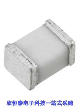 B88069X1023T203/B88069X1023T253/B88069X1193T303