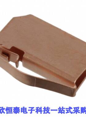 0097097302射频 《 CARD GUI CLIPON BECU 3.05X9.53MM    》