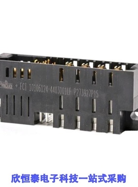 10106130-8004002LF/10106131-2004001LF/10106131-C004001LF