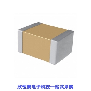 1210X107M160CT/1210X107M6R3/1210X107M6R3CT