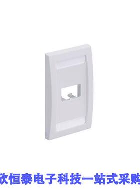 CFPE2IGY连接器 《 FACEPLATE, 2 PORT, SINGLE GANG,    》