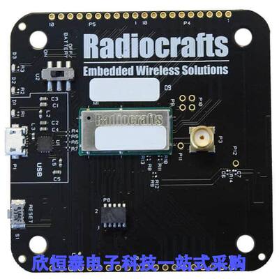 RC1880CEF-SPR-DB射频 《 RIIOT DEVELOPMENT BOARD    》