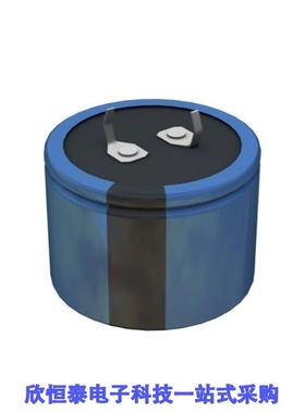 381LX561M250A012/381LX561M400A052/381LX562M035J012