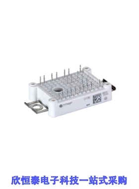 FP15R12W1T4P/FP15R12W1T4PB11BPSA1/FP15R12W1T4PBPSA1