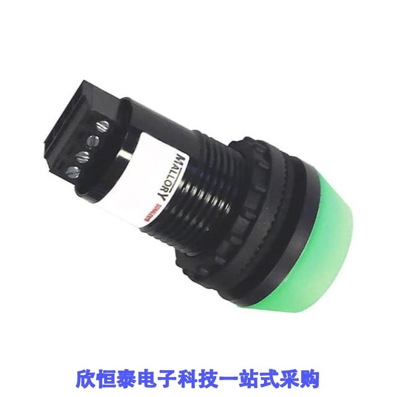 ZT028LAIC1G ZT028LAIC2G ZT028LAIC1R