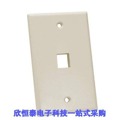 NFP-1019连接器 《 KEYSTONE WALL PLATE SINGLEGANG    》