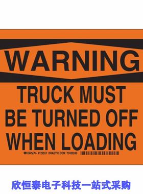 TPT29555-QF8R/TPT29555-TS5R/TPT29617A -VS1R