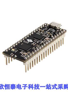 102991013射频 《 NRF52832-MICRO DEVELOPMENT BOARD    》
