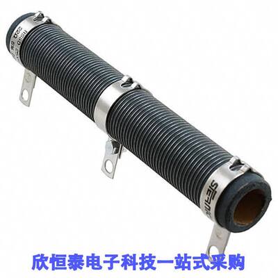 RSSD25168A10R0JB06 null Vishay