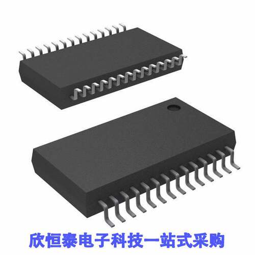 PGA2500IDB芯片 《 IC AMP CLASS AB MONO 28SSOP    》