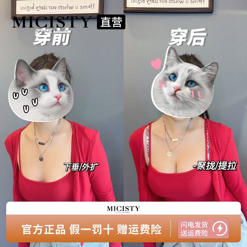 Micisty密汐皙迪掌星款内衣女小胸聚拢调整型文胸夏季薄款胸罩夏