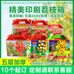 荔枝龙眼黄皮果包装盒深圳东莞镇隆岭南山荔枝石硖龙眼礼盒5-10斤