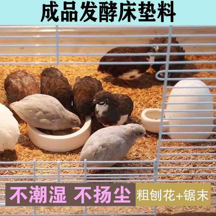 成品阳台无臭养殖芦丁鸡发酵床