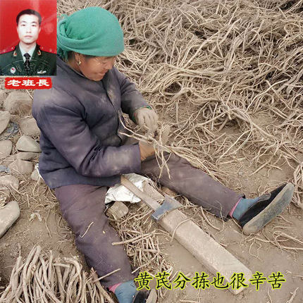 黄芪片500g克黄岐无硫黄氏生黄芪非野生正北芪可搭当归党参包邮
