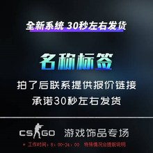 csgo名称标签【30秒发货】名称标签1