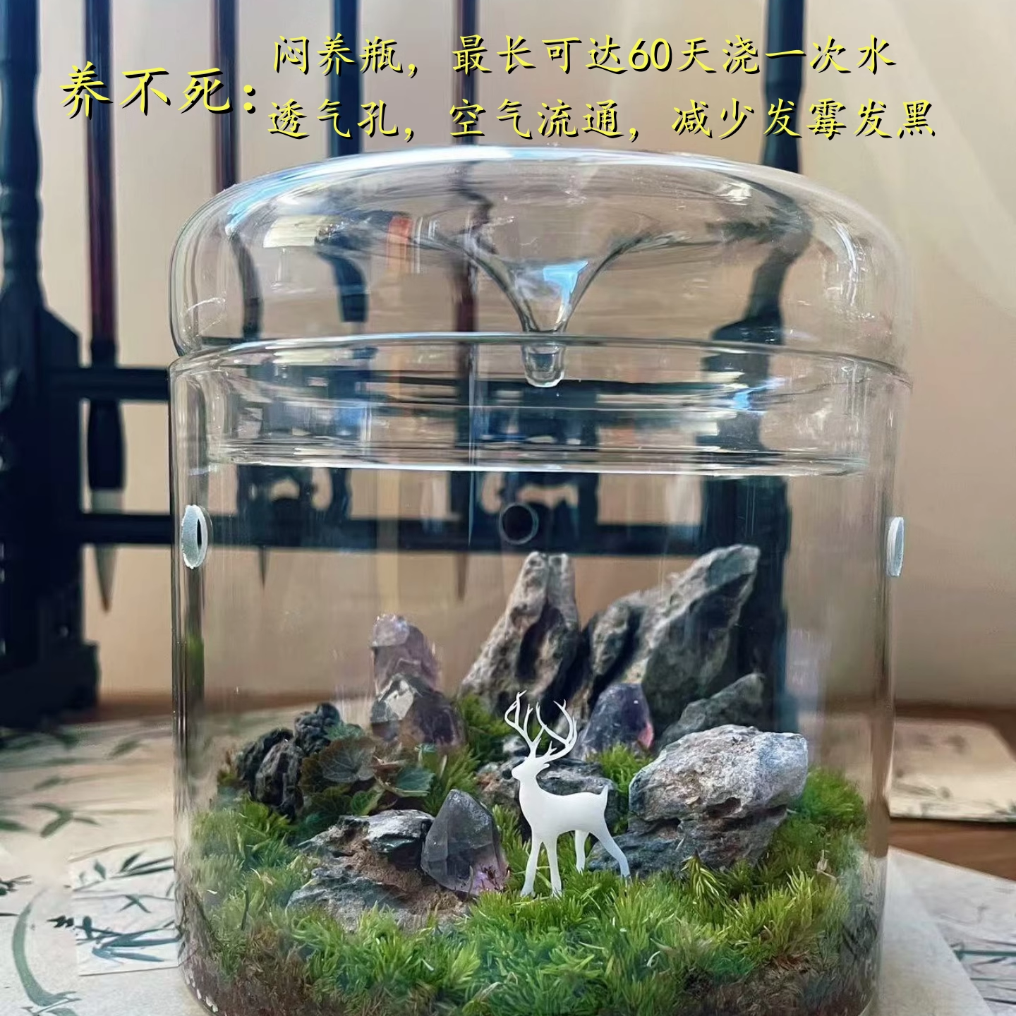 苔藓微景观造景生态瓶办公桌面绿植宿舍植物工位摆件创新礼品盆景,鲜花速递/花卉仿真/绿植园艺,苔藓微景观,淘宝优惠券,粉丝福利购,淘宝优惠卷