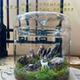 苔藓微景观造景生态瓶办公桌面绿植宿舍植物工位摆件创新礼品盆景