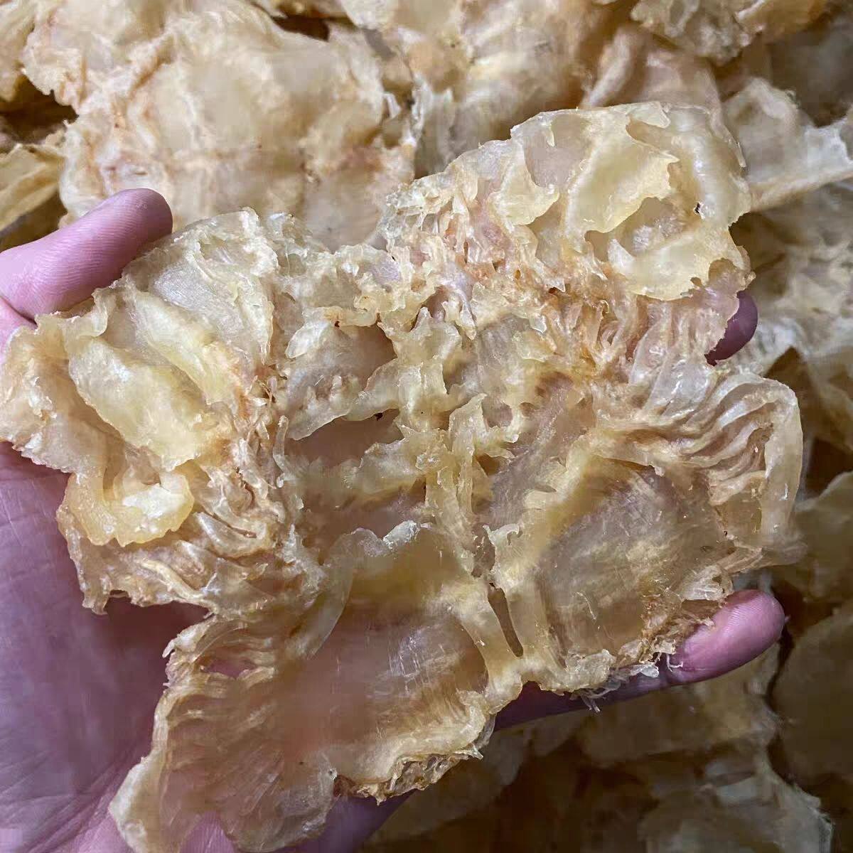 印尼石斑鱼胶 赤肚 赤嘴鳘鱼胶深海鱼胶花胶干货500克13头左右