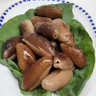 小乌仁参野生海参干货乌园乌圆参淡干海参猪婆参乌元参非辽参250g