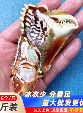 【中号面包蟹钳二十斤元宝蟹钳新蟹脚东山岛海鲜净重16斤