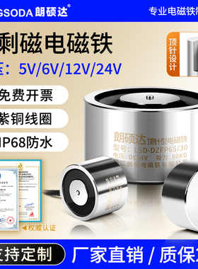 朗硕达圆形小磁铁防剩磁电磁铁微小型顶针电磁吸盘工业强力电吸铁