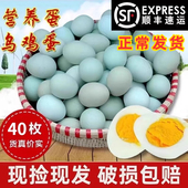 绿壳农家散养土鸡蛋乌鸡蛋新鲜正宗天然顺丰 包邮