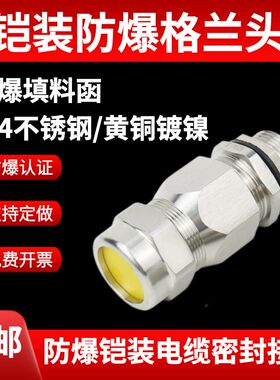 304不锈钢防爆铠装格兰头黄铜镀镍填料函碳钢双密封电缆夹紧接头G