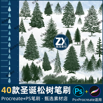 ps笔刷procreate笔刷冬季雪松写实松树圣诞树松针圣诞节装饰森林