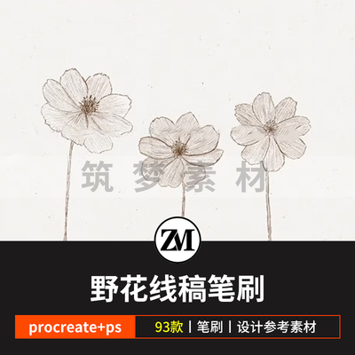 ps笔刷procreate笔刷小清新野花鲜花朵花卉植物线稿手绘野草丛林