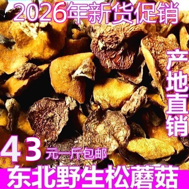 东北特产干货野生松菇500g松蘑菇