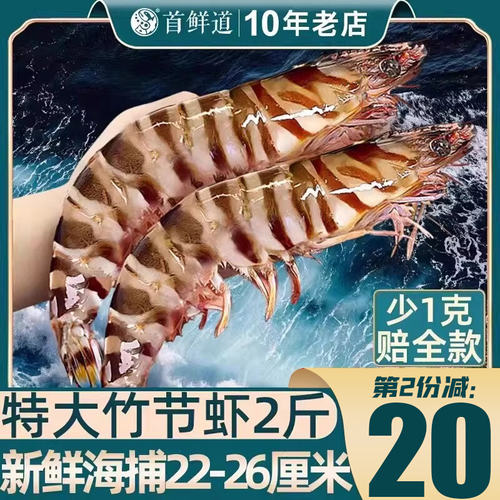 特大竹节虾九节虾无掉头