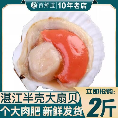 新鲜半壳大扇贝烧烤食材