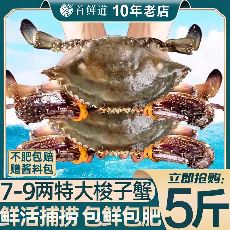 梭子蟹特大新鲜舟山螃蟹冻蟹兰花蟹海鲜水产红膏蟹飞蟹大白蟹