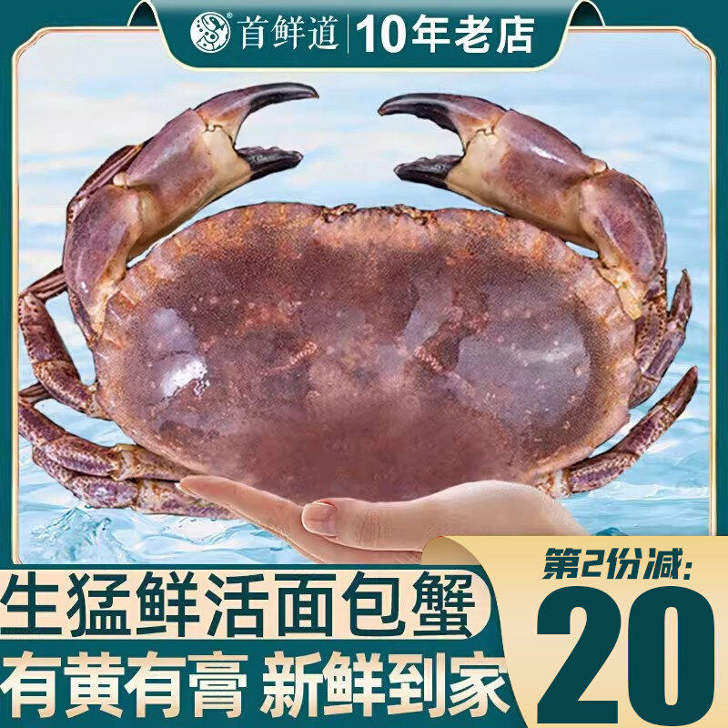 【活蟹】面包蟹鲜活帝王蟹超大特大黄金蟹新鲜海鲜水产非熟冻