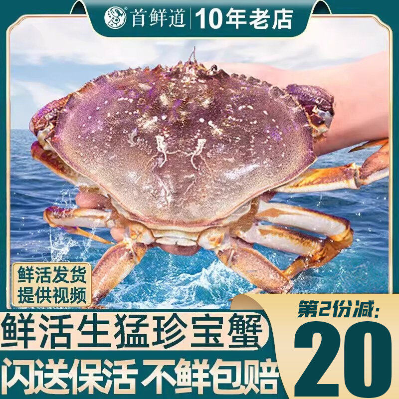 面包蟹鲜活珍宝蟹螃蟹特大超大新鲜海鲜水产进口黄金蟹珍宝公母