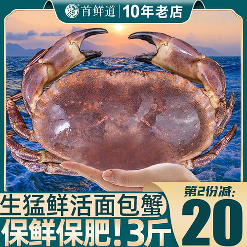 鲜活面包蟹闪送保活满黄满膏