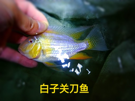 查看源网页