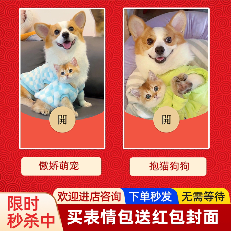 傲娇萌宠 抱猫狗子 萌宠红包可爱皮肤封面微信vx红包皮封面序列号