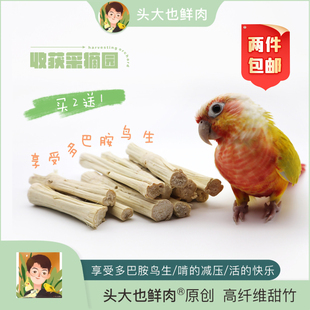 头大也鲜肉·高纤维甜竹·迷你葫芦镇鸟宅·鹦鹉专用啃咬甜甜圈