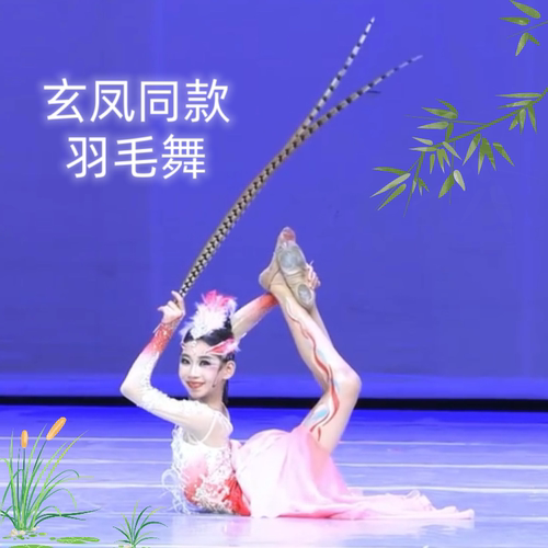 儿童舞蹈翎羽表演道具羽毛舞玄凤舞古典舞民族舞成人羽毛舞